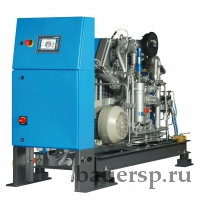 Компрессор KAP 220-30-E-225 - фото - 1